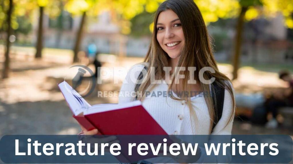 Literature review writers